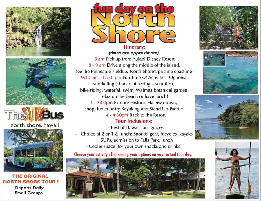 02/03 - 02/09 - Watch Pipeline Surf Challenge ! - Haleiwa town time: shopping, art, and shave-ice with room to breathe