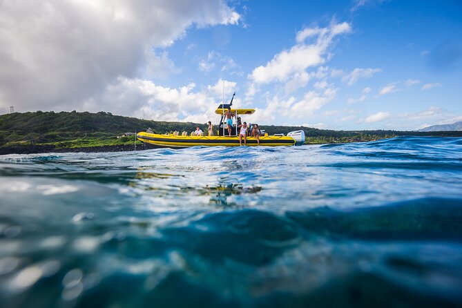 1.5-Hour Guided Whale Watching Tour - Who This Tour Suits Best (and Who Should Skip It)