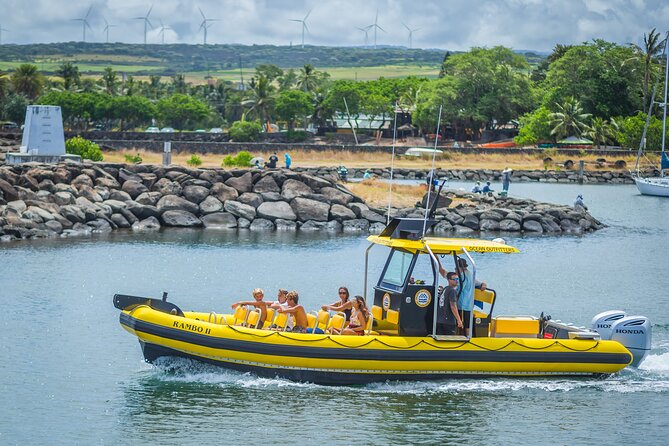 1.5-Hour Guided Whale Watching Tour - Should You Book This Whale Watching Tour?