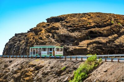1 Day Pass LeaLea Trolley and Waikiki Trolley Pink Line - Price, Inclusions, and What Costs Extra