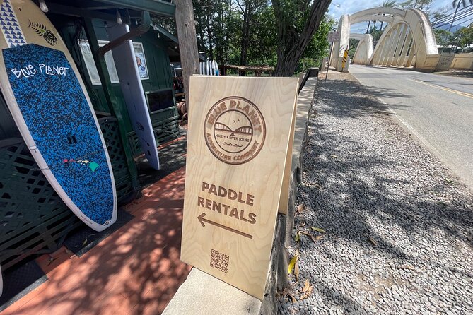 2 hour tandem kayak rental at our private launch area in Hale'iwa - Sea turtles along the Anahulu River: enjoy them, don’t chase them