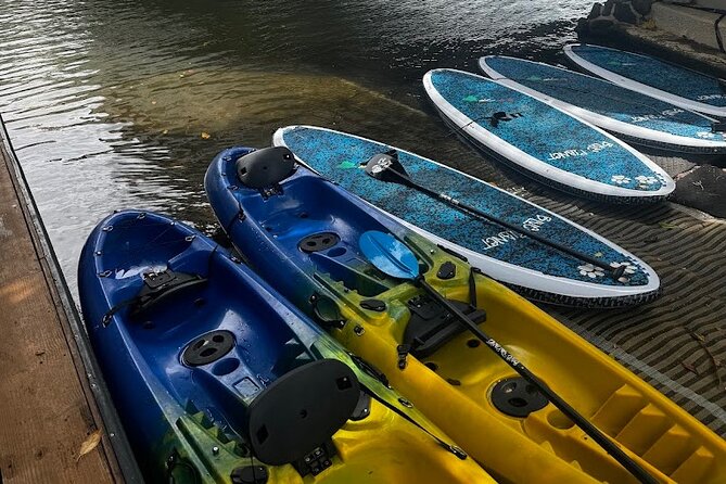 2 hour tandem kayak rental at our private launch area in Hale'iwa - Should you book this tandem kayak rental in Haleiwa?