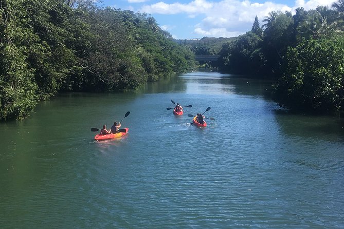 2-hour tandem kayak rental - From Beach to Anahulu Stream: Route Options and Wildlife Odds