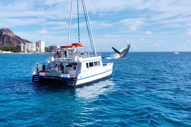 2 Hour Waikiki Whale Watching Cruise from Oahu - Key Highlights to Know Before You Go