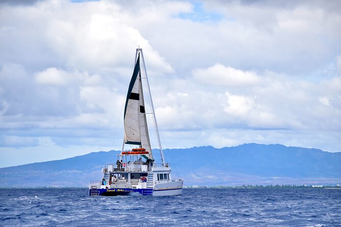2 Hour Waikiki Whale Watching Cruise from Oahu - Whale-Spotting Reality Check (and the Free Rebooking Plan)