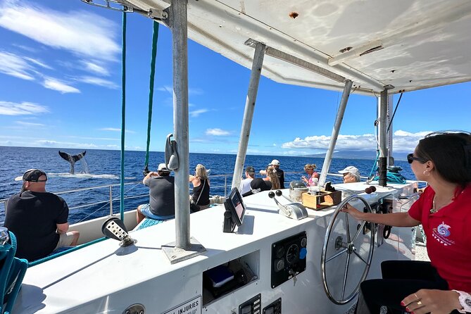 2 Hour Waikiki Whale Watching Cruise from Oahu - Boat Setup: Open-Air Decks and an Underwater Viewing Room