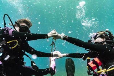 2 Tank Private SCUBA Party Diving Charter from Waikiki Hawaii - The plan on the water: two Oahu locations, flexible pace, big-animal odds