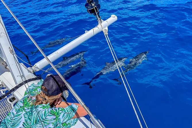 2hr Luxury Private Sailing Catamaran in Waikiki for 1-6 People - Practical tips so your charter feels worth it