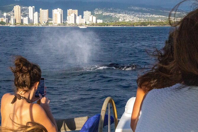2hr Luxury Private Sailing Catamaran in Waikiki for 1-6 People - Getting onboard: meeting point and how the harbor day works