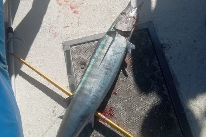3-Hour Fishing Trip in Waikiki - Stop 2: Diamond Head State Monument—Scenery That Keeps Paying Off