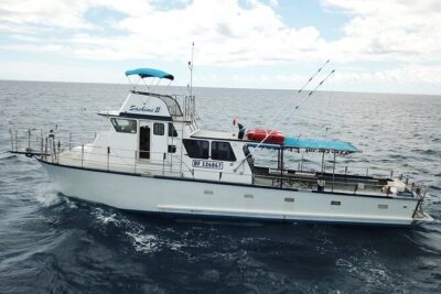 3-Hour Honolulu Bottom Fishing Adventure - Gear, Bait, and the Lesson That Actually Helps