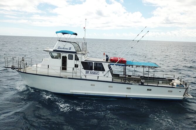 3-Hour Honolulu Bottom Fishing Adventure - Gear, Bait, and the Lesson That Actually Helps