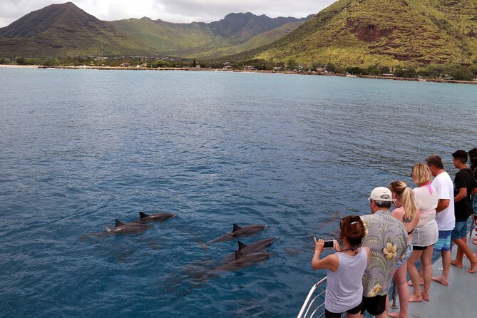 3 Zipline Adventure and 3.5 hour Afternoon Snorkel Cruise - Zipline to Snorkel: A 5-Hour West Oahu Combo That Actually Works