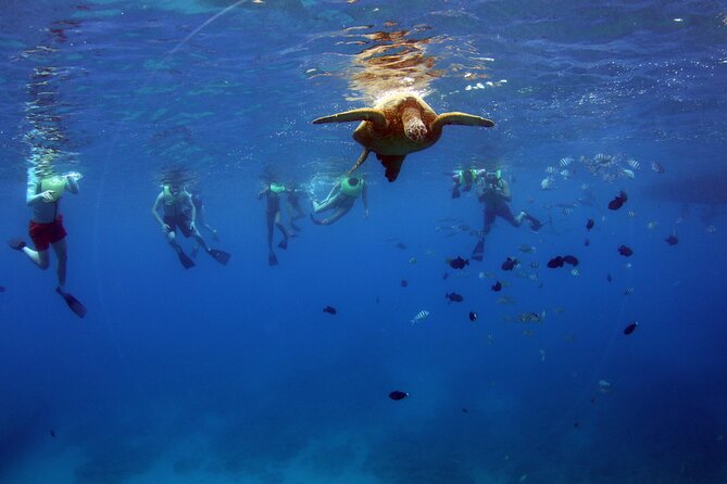 3 Zipline Adventure and 3.5 hour Afternoon Snorkel Cruise - Who This Tour Suits Best (And Who Might Want a Different Plan)