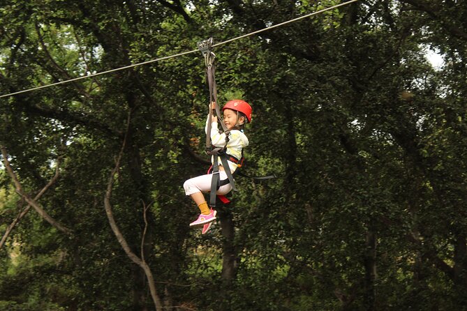 3 Zipline Adventure and 3.5 hour Afternoon Snorkel Cruise - Price and Value: Is $232.89 a Fair Deal?