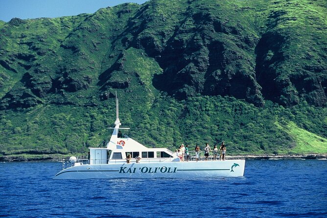3 Zipline Adventure and 3.5 hour Afternoon Snorkel Cruise - Should You Book It?