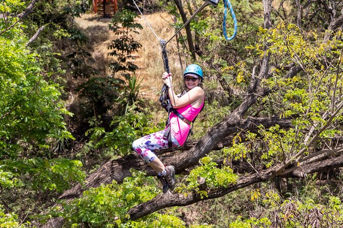 3 Zipline Adventure with Waikiki Transportation - Coral Crater Adventure Park: Where the Views Earn Their Ticket