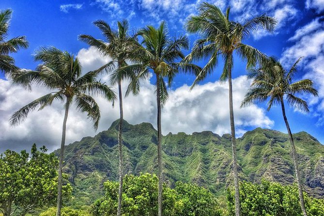 4 Hour Half Day Island Jeep Tour - Your guide’s role: what makes Wayde-style touring feel personal