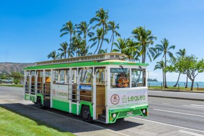 7 Day Pass LeaLea Trolley and Waikiki Trolley Pink Line - Price and value: $82 buys riding, not entry fees