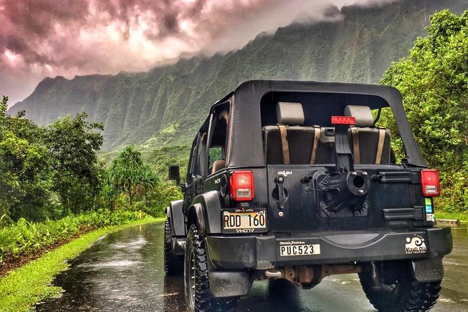 8 Hour Circle Island Jeep Tour - The guide experience: why the ride can feel personal