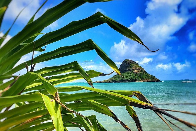 8 Hour Circle Island Jeep Tour - Who should book this 8-hour circle-island Jeep tour