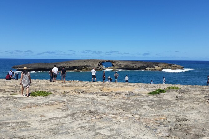 8-Hour Luxury Four Door Convertible Tour of Oahu's South and North Shores - Shark’s Cove snorkeling and Banzai Pipeline in one run