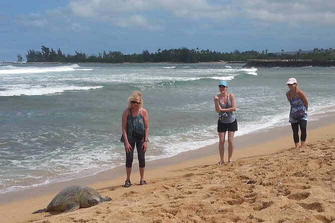 8-Hour Luxury Four Door Convertible Tour of Oahu's South and North Shores - Beach food moments: Ted’s Bakery and Turtle Bay