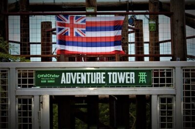 Adventure Course Extreme Including Climbing Wall & Rappel - The aerial obstacle course: 18 challenge elements overhead