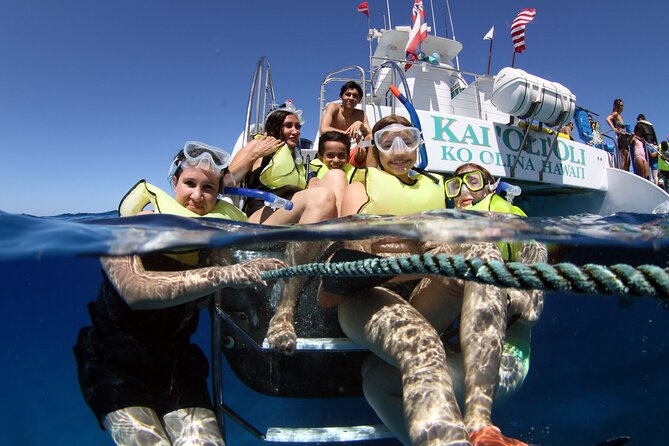 All-Inclusive Sunset Dolphin Watch and Snorkeling Cruise - Key things that make this cruise worth your time