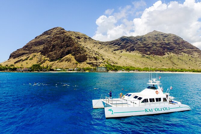All-Inclusive Sunset Dolphin Watch and Snorkeling Cruise - Should you book it?