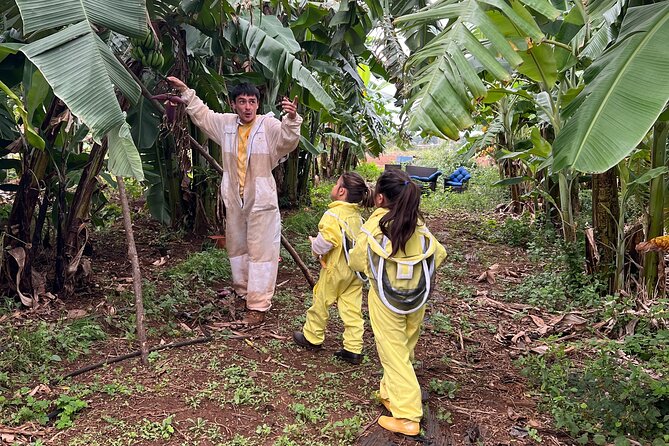 Bee Farm Ecotour and Honey Tasting in Waialua, North Shore Oahu - A North Shore bee farm tour that mixes rural life and foodie fun