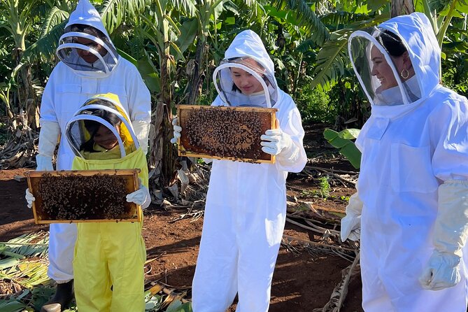 Bee Farm Ecotour and Honey Tasting in Waialua, North Shore Oahu - What you learn while holding the honeycomb frame