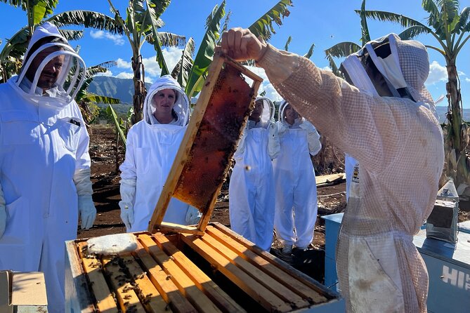 Bee Farm Ecotour and Honey Tasting in Waialua, North Shore Oahu - Weather and rescheduling: what happens if conditions change