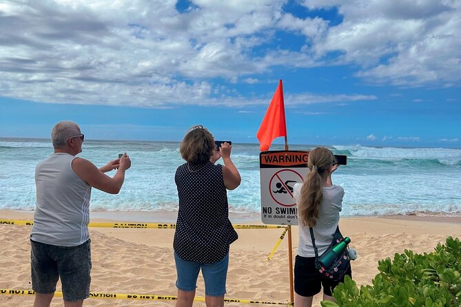 Best of Oahu Full-Day Small-Group Island Tour - Dole Plantation: pineapple learning in a quick 15 minutes