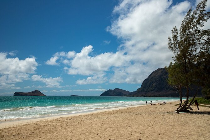 Best Of Oahu: Grand Circle Island Small Group Tour From Waikiki - Halona Blowhole and Makapu‘u Point: wind, cliffs, and quick photo breaks