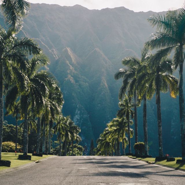 Best of Oahu in One Day - Dole Plantation, Pineapple Dole Whip, and the coffee farm finish