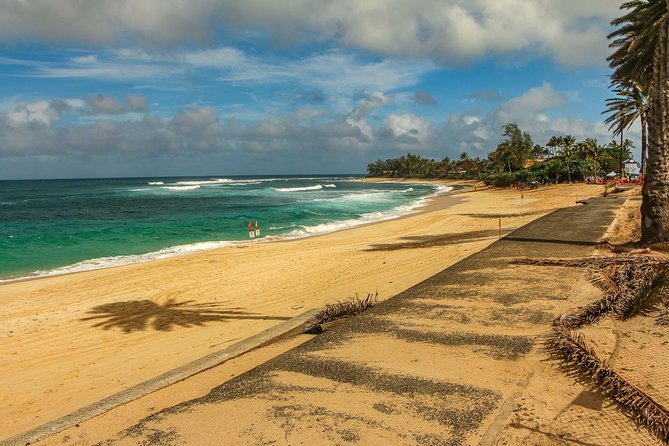 Best of Oahu: Pearl Harbor & Oahu Circle Island Tour from Waikiki - Dole Plantation in 30 minutes: pineapples, treats, and smart timing