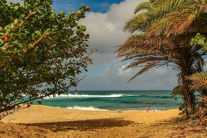 Best of Oahu: Pearl Harbor & Oahu Circle Island Tour from Waikiki - Nu’uanu Pali lookout: views up on the ridge and stories on the wind