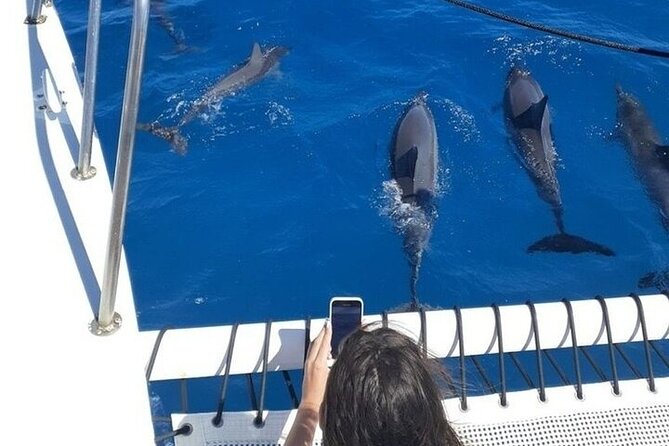 Best Waikiki Whale Watching in Honolulu: Whales Guaranteed - BYOB on a whale cruise: why it’s a smart setup