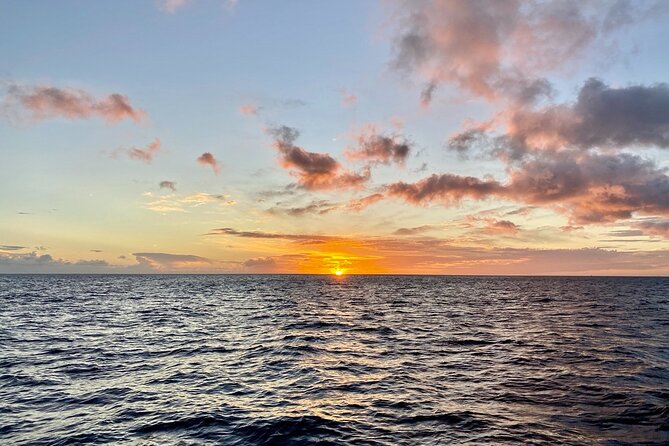BYOB Sunset Cruise Waikiki - Where You Start: Ala Moana Meeting Point and How to Plan Your Arrival