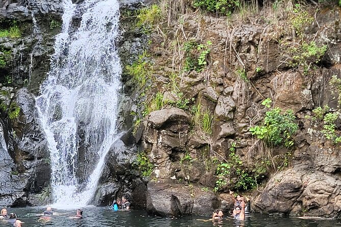 Byodo Temple and Waimea Botanical Garden Tour - New Hawaii’s Treasures and Leonard’s Malasada: quick stops, optional flavors