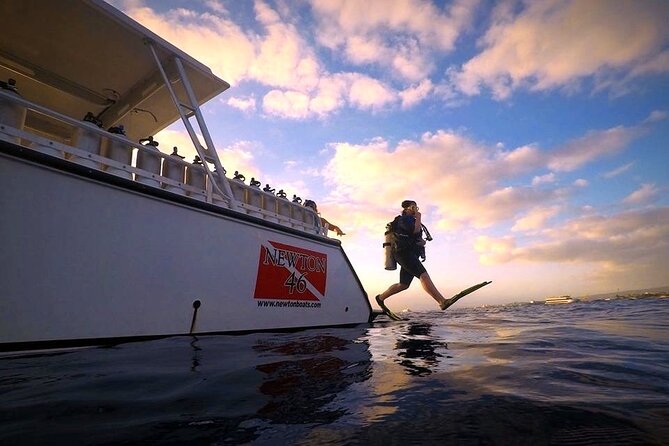 Certified Diver: 2-Tank Night Dive - Key Things That Make This Night Scuba Tour Work