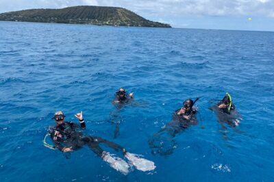 Certified Scuba Diving Along Two Shallow Reef Sites - What Two Shallow Reef Sites Really Means (30–40 ft)