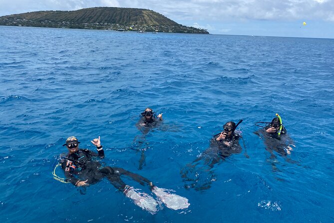 Certified Scuba Diving Along Two Shallow Reef Sites - What Two Shallow Reef Sites Really Means (30–40 ft)