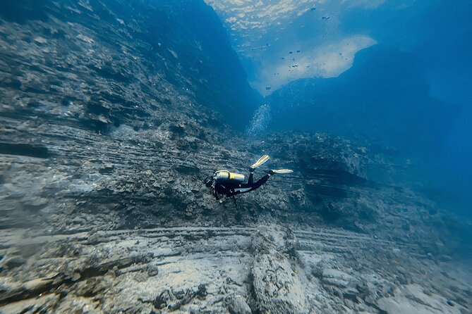 Certified Scuba Diving Experience in Honolulu - Two Underwater Sessions With Different Goals