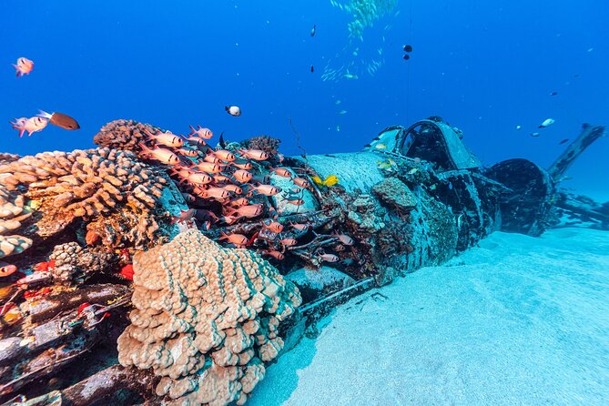 Certified Scuba Diving Experience in Honolulu - Practical Packing Tips for Oahu Water Time