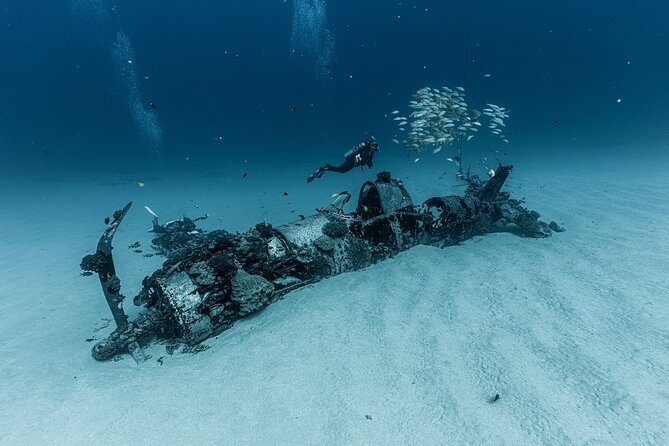 Certified Scuba Diving Experience in Honolulu - Advanced Requirements: 80–120 Feet First, Then 30–50