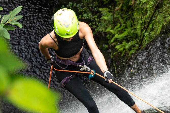 Chasing Waterfalls:Wild Hawaii Rappelling - Price and Logistics: Is $350 Worth It?