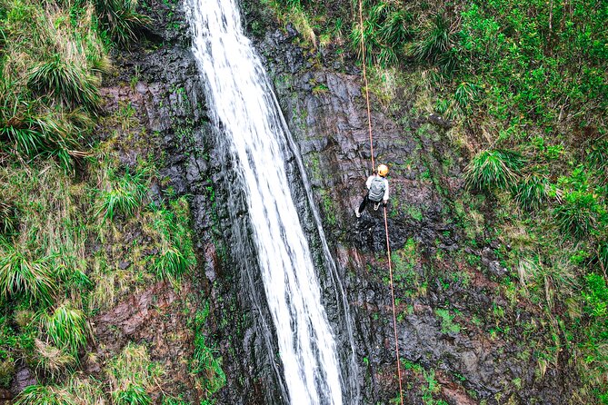 Chasing Waterfalls:Wild Hawaii Rappelling - Who This Tour Fits Best (and Who Should Rethink It)