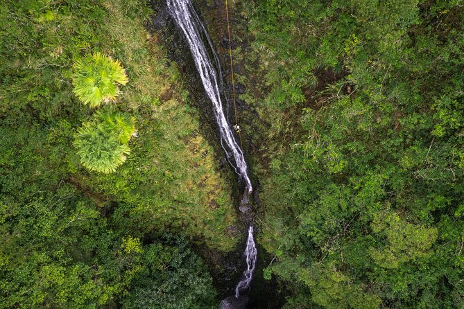 Chasing Waterfalls:Wild Hawaii Rappelling - Ropes Set Up at the Waterfall: Calm Confidence Before Descent